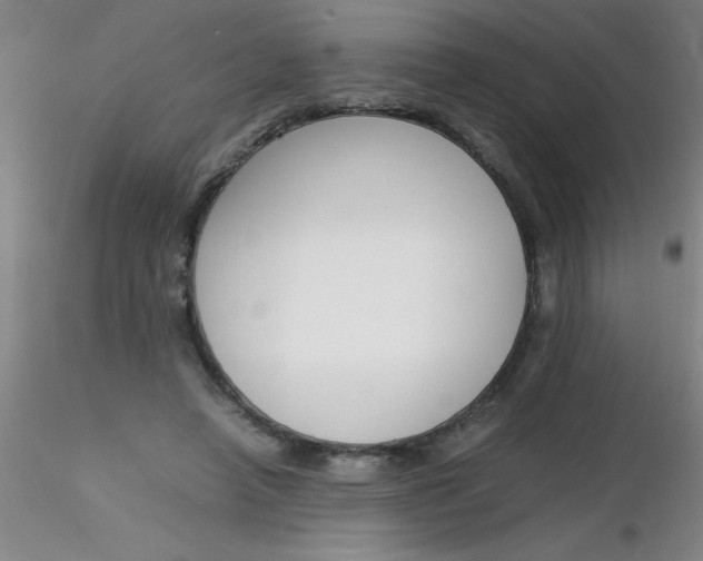 X0000116290450200912211844