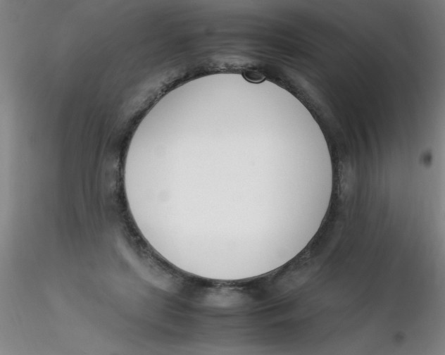 X0000116290451200912211844