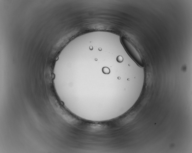 X0000116290453200912211844