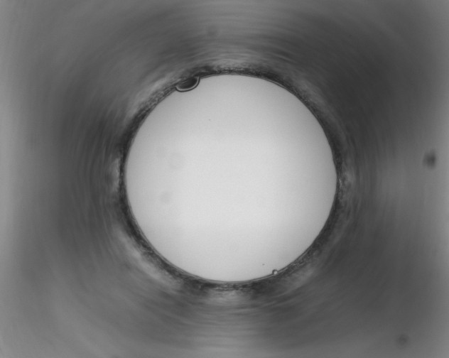 X0000116290454200912211844