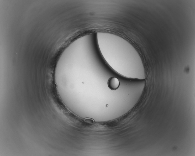 X0000116290456200912211844