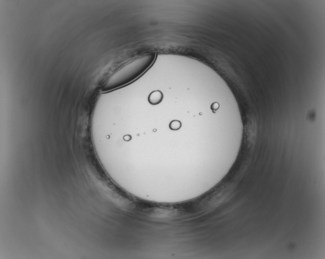 X0000116290458200912211844