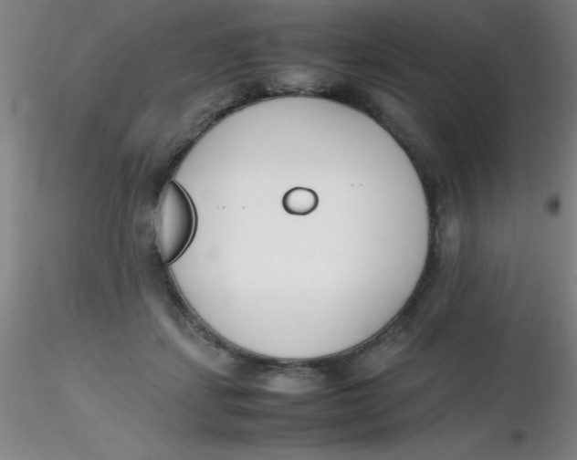 X0000116290459200912211844