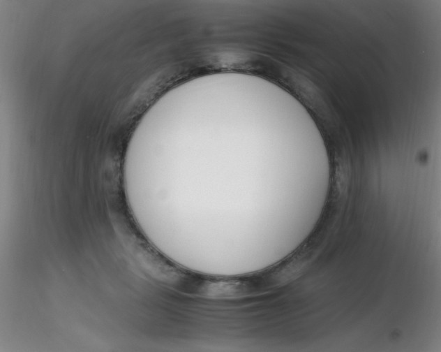 X0000116290461200912211844