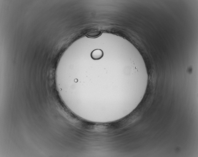 X0000116290462200912211844