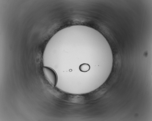 X0000116290463200912211844