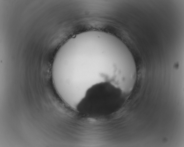 X0000116290464200912211844