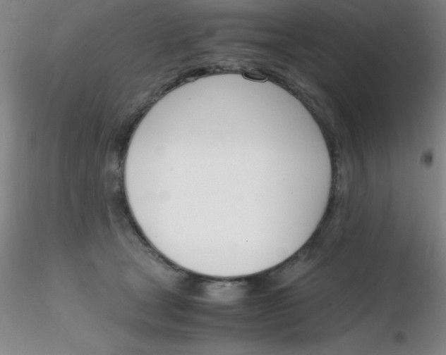 X0000116290465200912211844