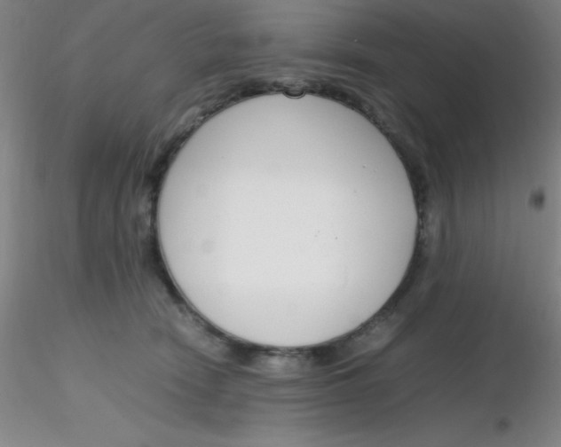 X0000116290466200912211844