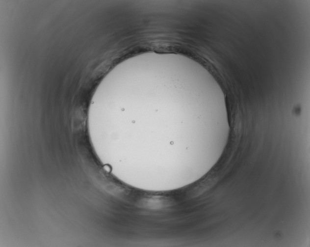 X0000116290467200912211844