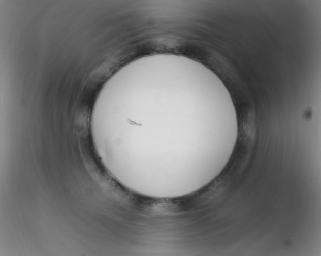 X0000116290468200912211844