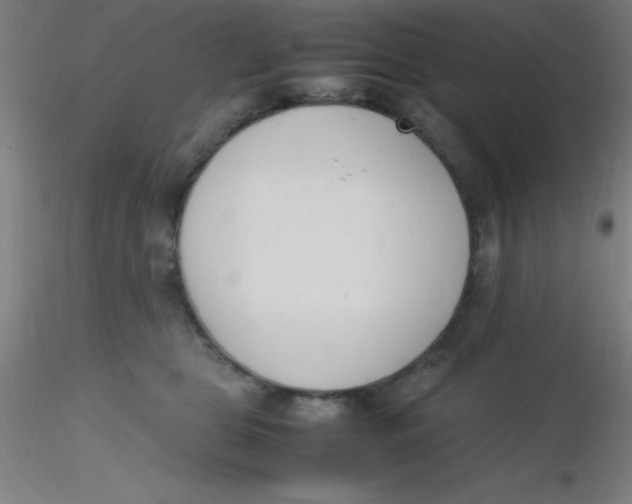 X0000116290469200912211844