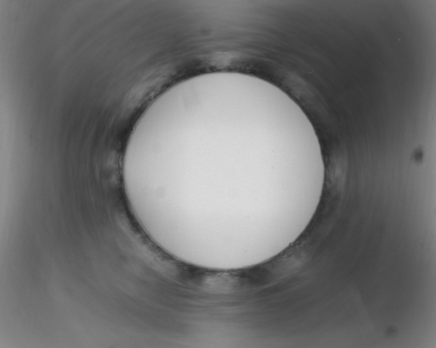 X0000116290470200912211844