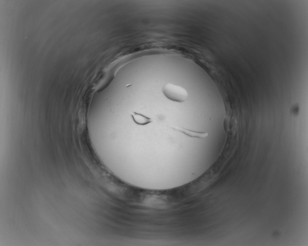 X0000116290471200912211844