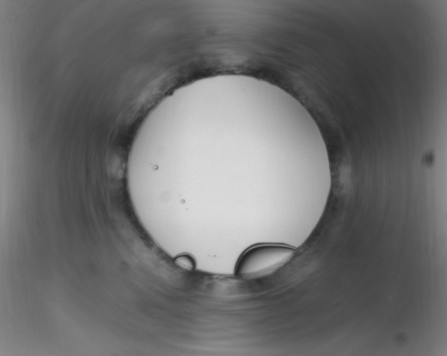 X0000116290472200912211844