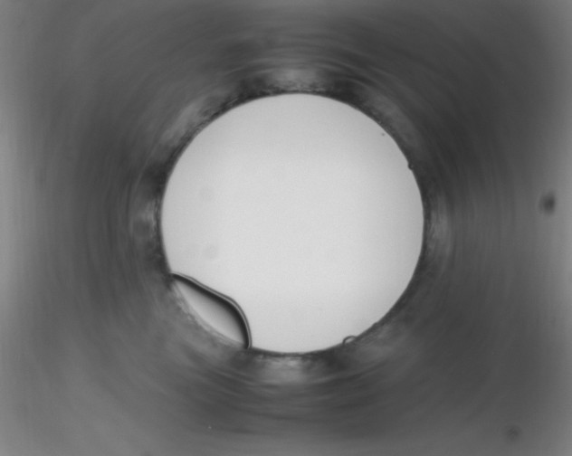 X0000116290473200912211844