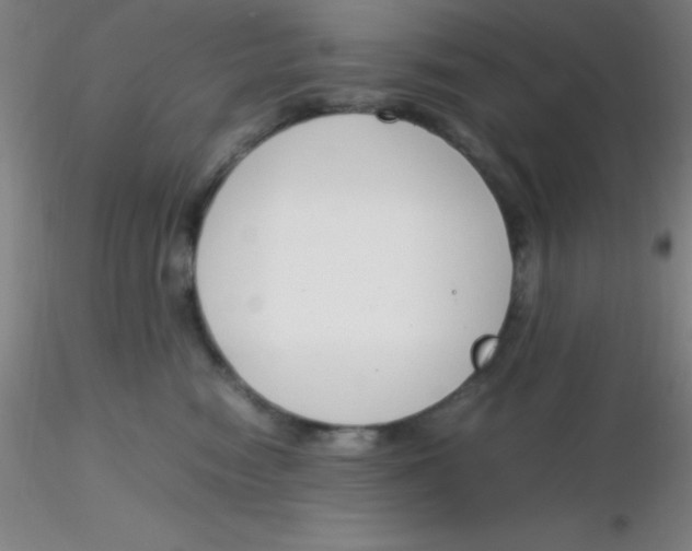 X0000116290474200912211844