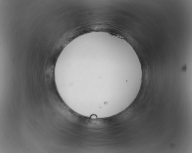 X0000116290475200912211844