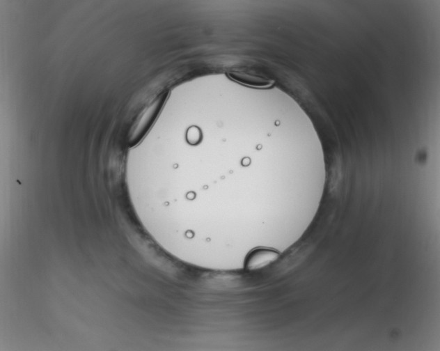 X0000116290476200912211844