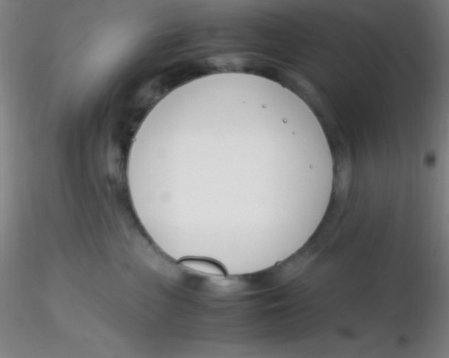 X0000116290477200912211844