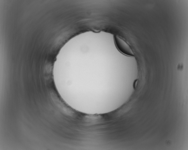 X0000116290480200912211844