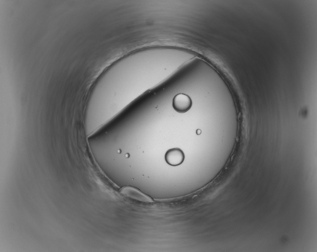 X0000116290481200912211844