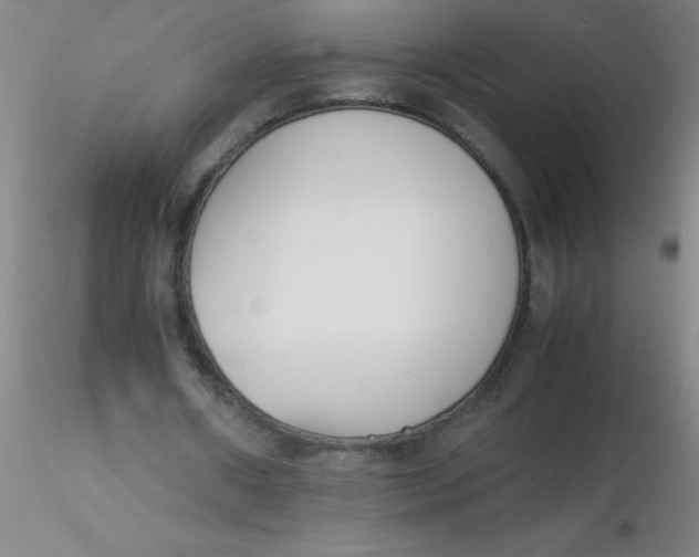 X0000116290482200912211844