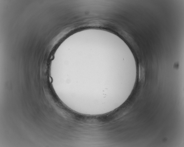 X0000116290483200912211844