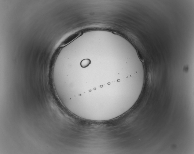 X0000116290484200912211844