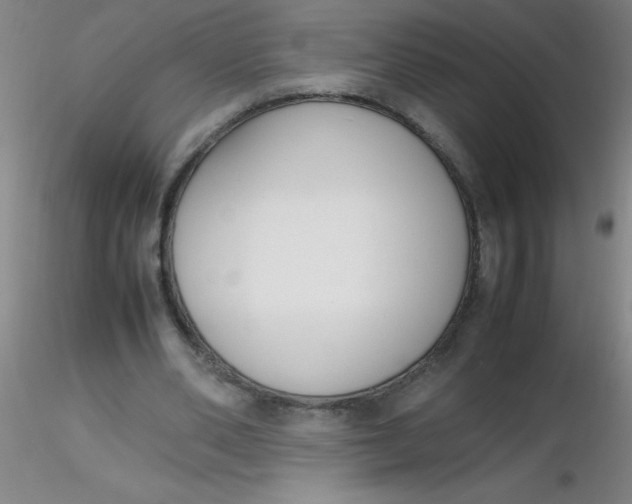 X0000116290486200912211844