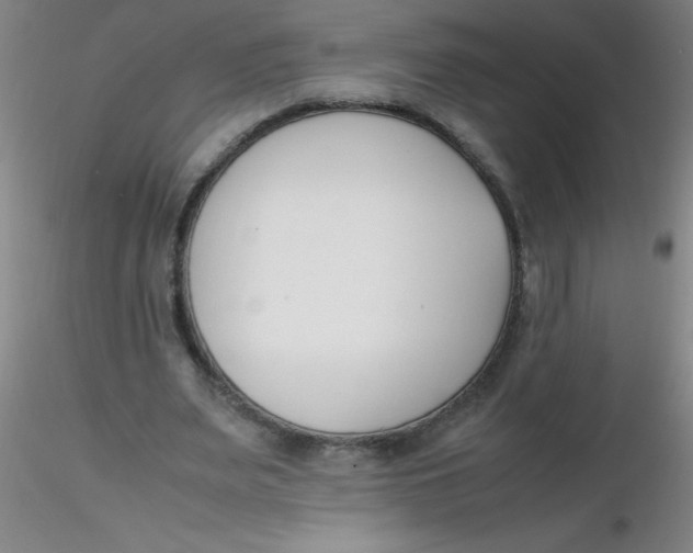 X0000116290487200912211844