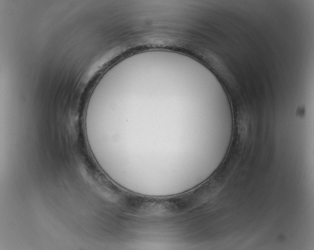 X0000116290488200912211844