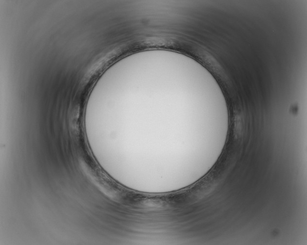 X0000116290490200912211843