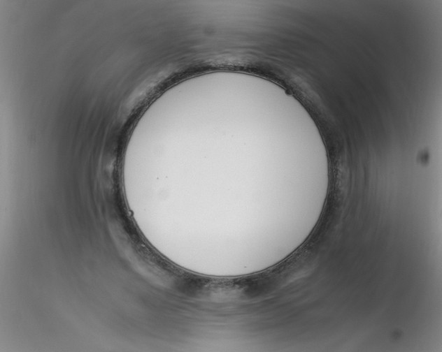 X0000116290491200912211843