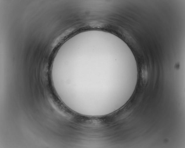 X0000116290492200912211843