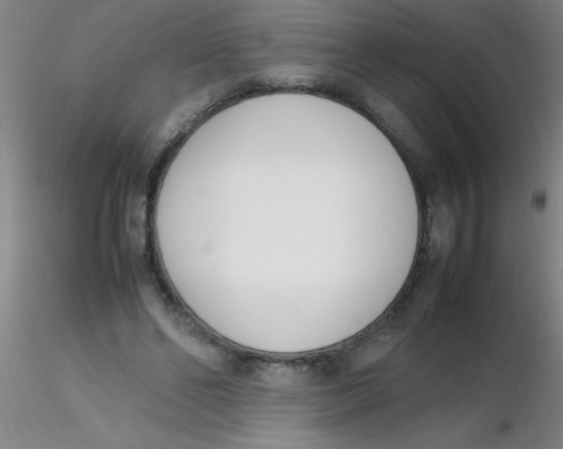 X0000116290494200912211843