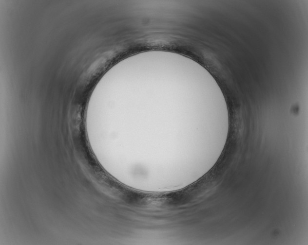 X0000116290495200912211843