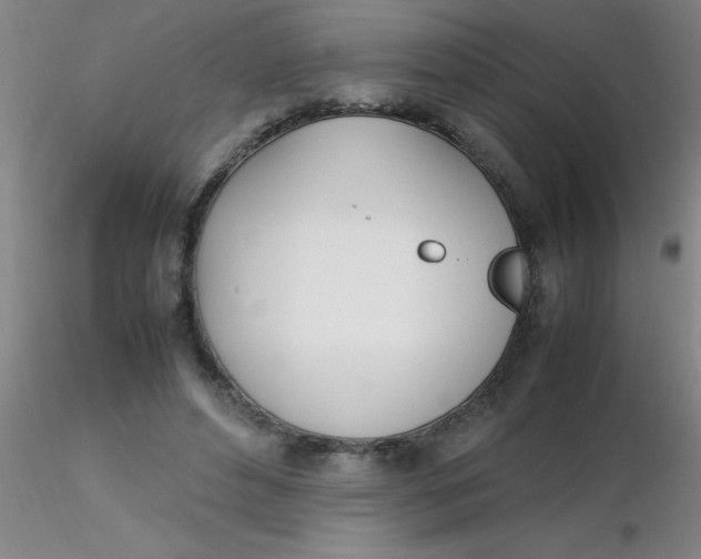 X0000116290496200912211843