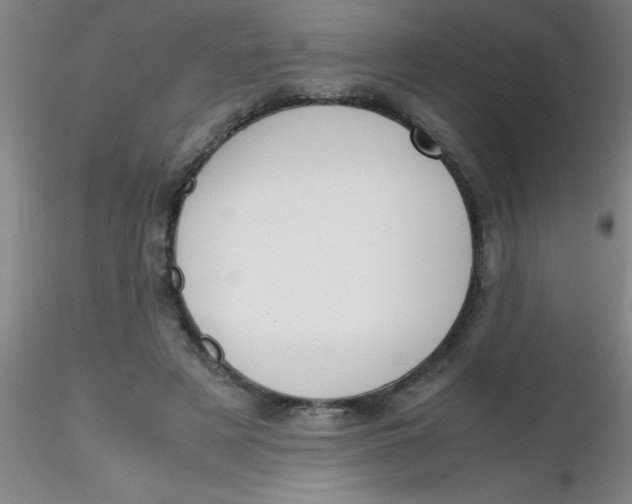 X0000116290497200912211843