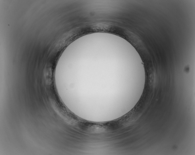 X0000116290498200912211843