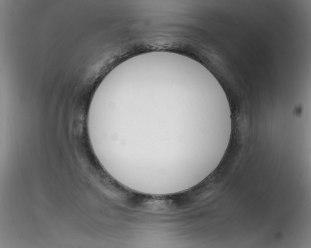 X0000116290499200912211843