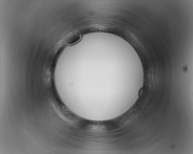 X0000116290500200912211843