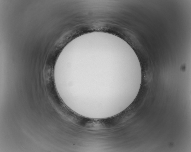 X0000116290503200912211843