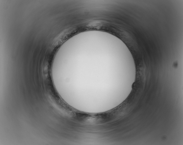 X0000116290504200912211843