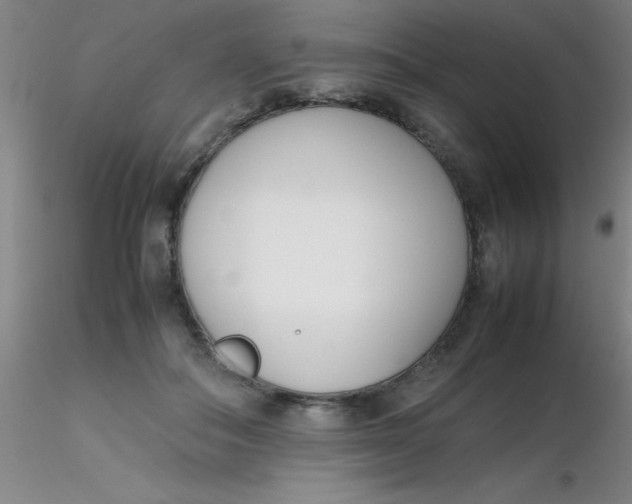 X0000116290506200912211843