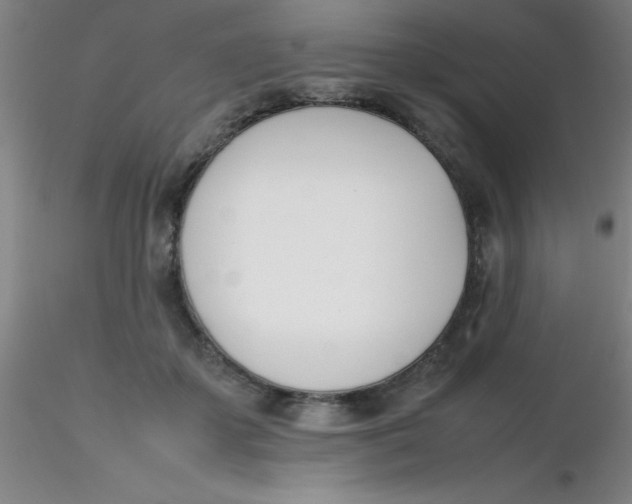 X0000116290507200912211843