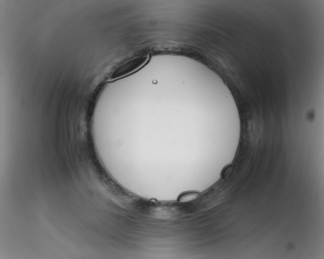 X0000116290508200912211843