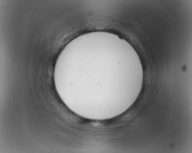 X0000116290509200912211843