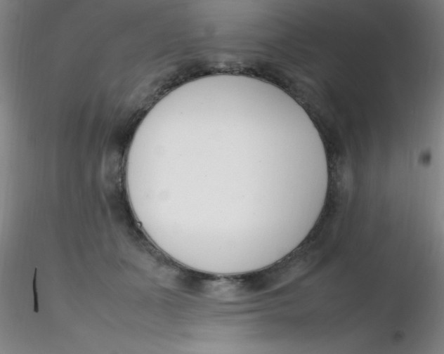 X0000116290511200912211843