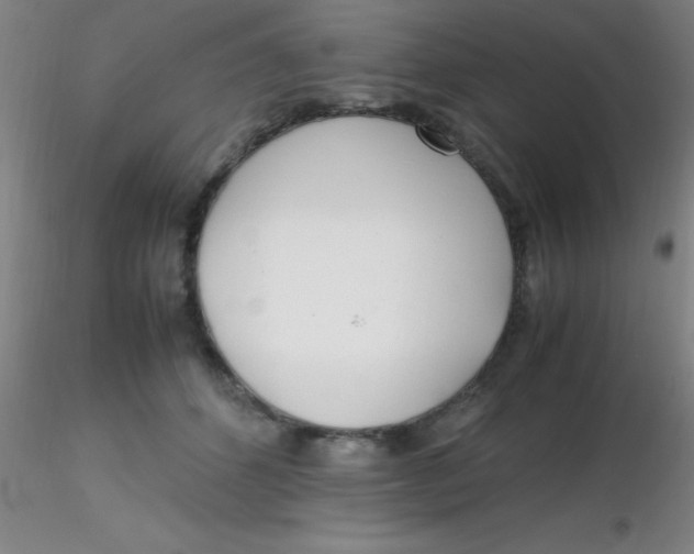 X0000116290512200912211843